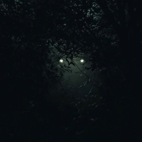 燈火闌珊處，夜色正濃時(shí)