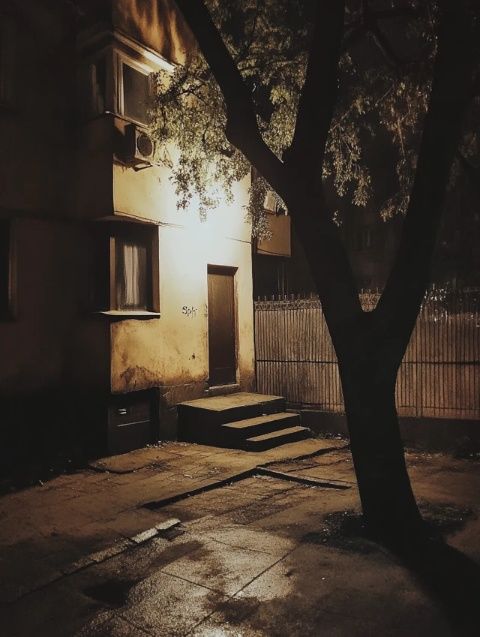 燈火闌珊處，夜色正濃時(shí)