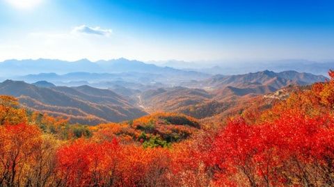 來(lái)到大南山觀看完山上的美景