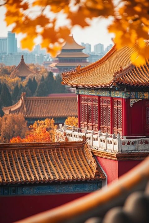 北京·雅寶路首家林家一臺(tái)州菜店開(kāi)業(yè)了！