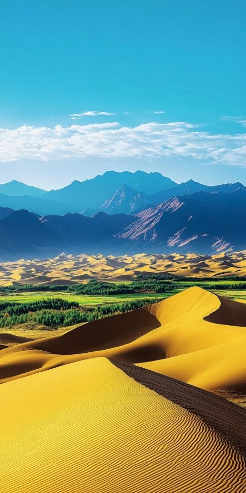 內(nèi)蒙古沙漠之旅攻略：烏海至阿拉善左旗住宿、美食推薦