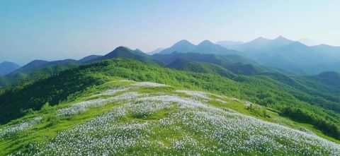 山西右玉：黃花飄香的地方，一個(gè)隱藏在塞北的小城，美的低調(diào)卻讓人心動(dòng)