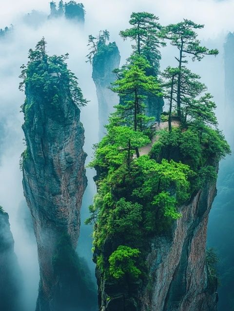 如果沒人知道浙江這座海島我會(huì)很失望的