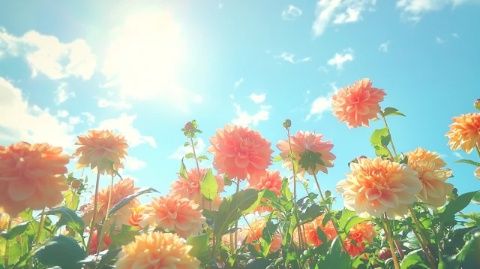 讓生命充滿鮮花與陽光！春日生活打卡季即將來臨！