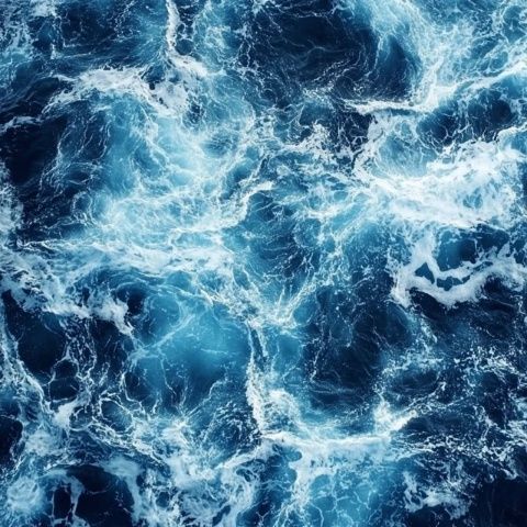 行測(cè)必備：洋流的成因、性質(zhì)與影響解析