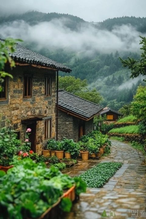 福建土樓旅游攻略，趣味滿滿等你來探索！