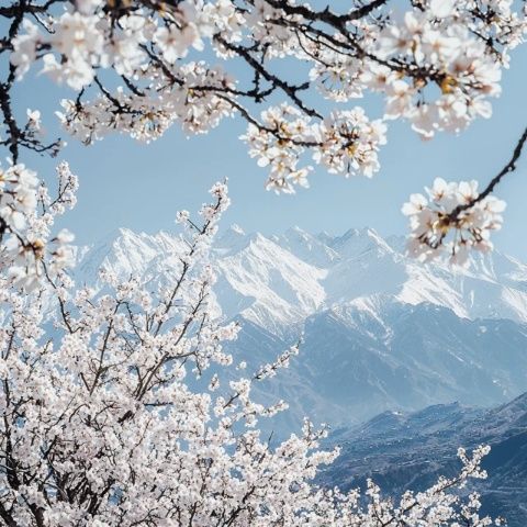蘭州桃花旅游節(jié)活動知多少？