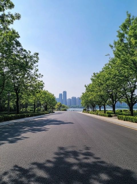 周日清晨騎行懷舊:探尋巢湖畔中廟鎮(zhèn)美景與文化