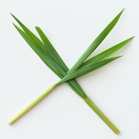 記一次意外的綠色美食之旅吃草也能如此美味？