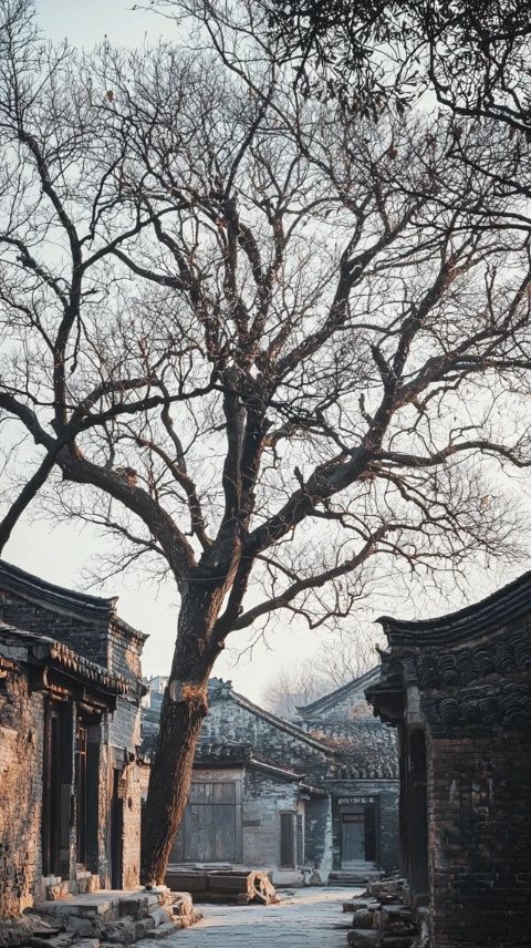 京城胡同新年新亮點(diǎn):五棵五彩毛衣大樹迎新春打卡熱