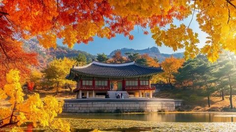 魅力與挑戰(zhàn)并存：韓國(guó)旅游全覽——文化、購(gòu)物、美食及待提升之處
