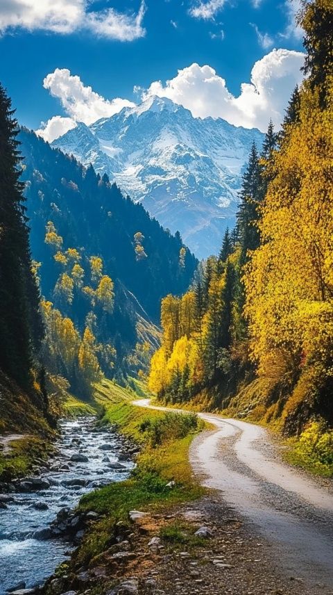 走在同一條路上久了，不妨試試岔路，欣賞不同的風(fēng)景