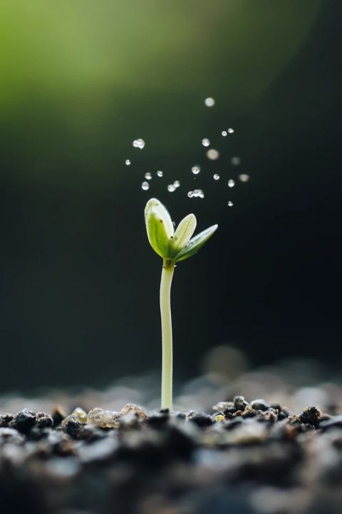 聚焦當(dāng)下，提升生活品質(zhì)與個人成長的重要性
