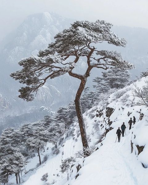 宜興黃塔頂冬季徒步探險：挑戰(zhàn)自我，盡享江南雪域風(fēng)光