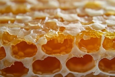 關于蜜蠟的保養(yǎng)禁忌(蜜蠟的保養(yǎng)常識和禁忌)