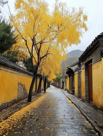 深度游記:惠山古鎮(zhèn)——探尋江南古韻與傳統(tǒng)藝術(shù)的迷人之旅