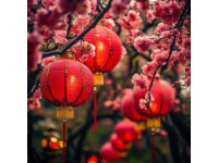 今天出去轉(zhuǎn)了一圈，發(fā)現(xiàn)佛山的過年氣氛搞起來了，花市開了，美食節(jié)同行