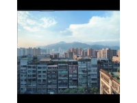 我愛上了羅湖區(qū),但它為什么越來越落寞？
