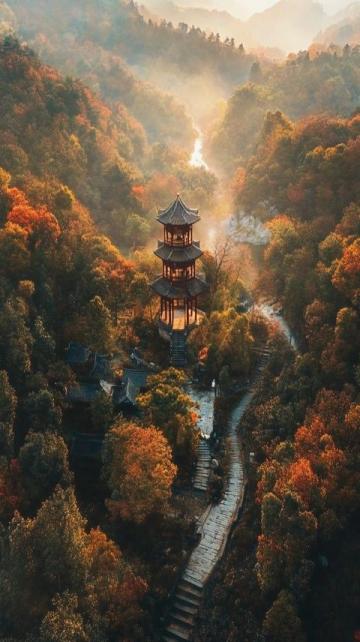普陀山作為中國著名的佛教圣地和旅游勝地，每年吸引著大量游客前來朝圣和游玩,然而