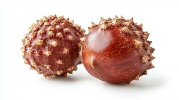 秋日美食健康吃：冬棗、板栗、紅薯與大閘蟹的注意事項(xiàng)