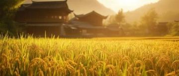 通過(guò)一道美食猜你的家鄉(xiāng)是哪里？桂林米粉透露秘密