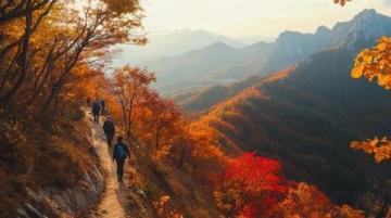 秋意濃情|阿爾山四日游:火山地貌、草原風(fēng)光全收錄