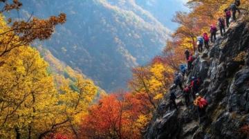 九皇山景區(qū)游玩指南：賞紅葉、美食、擼羊駝！