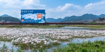 湖北鐘祥名鎮(zhèn)胡集：人口超10萬(wàn)，磷礦資源豐富，享有“中部磷都”美譽(yù)