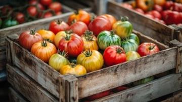 西紅柿遇黑蒜:一場(chǎng)出人意料的味覺(jué)實(shí)驗(yàn)與生活哲學(xué)探討