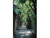 蘇州必游經(jīng)典路線：拙政園、博物館到周莊古鎮(zhèn)一日游攻略