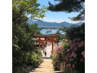 小眾拍照打卡地：拍出日雜風(fēng)美照刷屏朋友圈