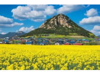 探索韓國(guó)濟(jì)州島：自然風(fēng)味下的酸甜辣美食之旅
