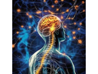 關(guān)于癲癇的這些常識你知道多少？（腦電圖、癲癇發(fā)作等詳解）