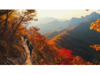 秋意濃情|阿爾山四日游：火山地貌、草原風(fēng)光全收錄