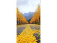 九皇山景區(qū)游玩指南：賞紅葉、美食、擼羊駝！