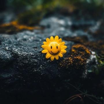 探索個性化幸福:心態(tài)與知識的力量影響人生幸福