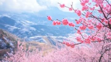 衡陽之旅:風景如畫的桃花源,古老的歷史,迷人的文化。