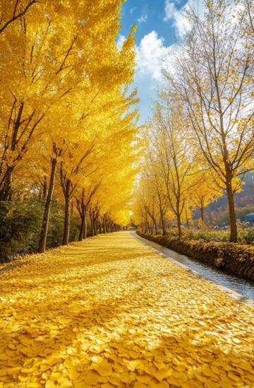 金色海洋"扮靚廣安區(qū)花橋鎮(zhèn)：油菜花盛開迎游客，第二屆油菜花節(jié)即將啟幕