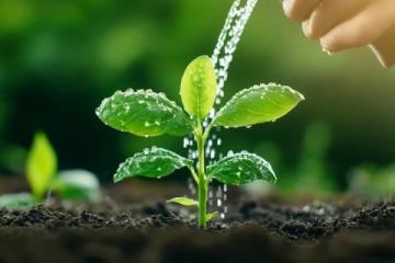 科學(xué)施肥技巧，讓作物健康成長指南