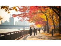 秋意盎然，武漢，充滿活力的城市，扶光露面的清晨，公園里、江邊，到處是運(yùn)動(dòng)的人們