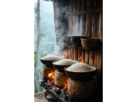 陽(yáng)江五大美食(陽(yáng)江美食介紹)