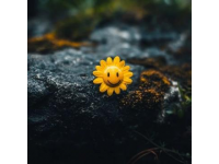 探索個性化幸福：心態(tài)與知識的力量影響人生幸福