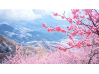 衡陽之旅:風(fēng)景如畫的桃花源,古老的歷史,迷人的文化。