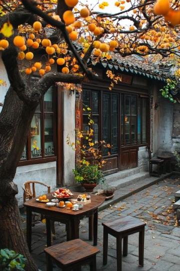 杭州最文藝的老街:小店、博物館和當(dāng)?shù)孛朗车耐昝澜Y(jié)合