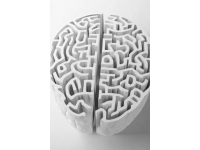 超越常識(shí)與理論的邏輯探索