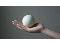 揭秘：為何鵝蛋鮮有人問津？產(chǎn)量低與成本高是關(guān)鍵