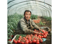 宜賓永興：將工業(yè)與農(nóng)業(yè)的和諧相結(jié)合，譜寫食材新篇章
