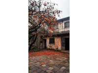 潼南桃樹下的網(wǎng)紅涼粉攤：藏在鄉(xiāng)下，游客到此必打卡
