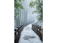 成都近郊1.5小時可達(dá)的高性價比玩雪徒步勝地