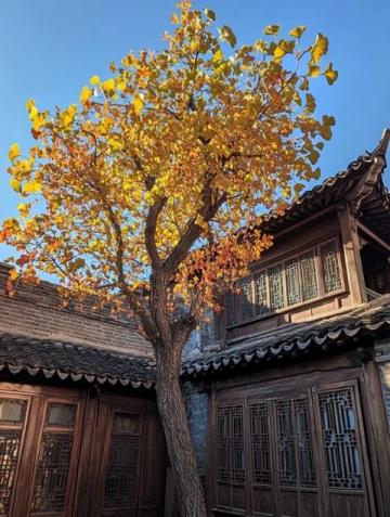 莊行古鎮(zhèn)，都市中的靜謐之地